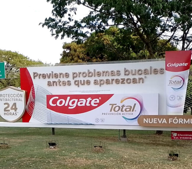 PHOTO-2025-08-14-16-00-32 copia